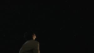 星に願いを — foto 3
