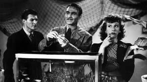 Dragnet — foto 2
