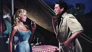 Safari — foto 1