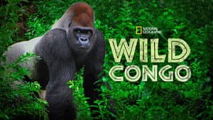 Wild Congo — foto 4