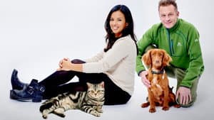 Cats v Dogs: Which is Best? — foto 1