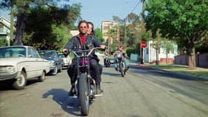 The Cycle Savages — foto 2