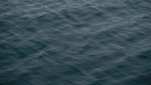 Stille — foto 2