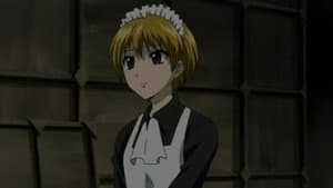 Episodio 11