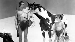 Tarzan el temerario — foto 5