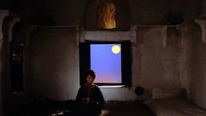 Il fiore delle Mille e una notte — foto 7