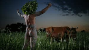 Midsummer Madness — foto 1