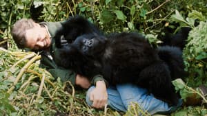 Una historia de gorilas contada por David Attenborough — foto 7