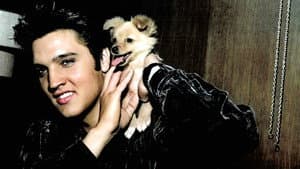 Tupelo's Own Elvis Presley — foto 7