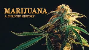 Marijuana: A Chronic History — foto 1