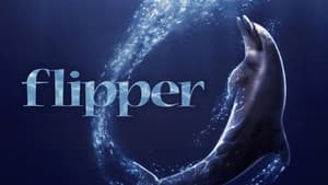 Flipper — foto 2