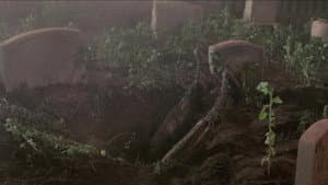 King Kong Vive — foto 6