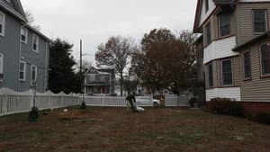 The Gardener — foto 1