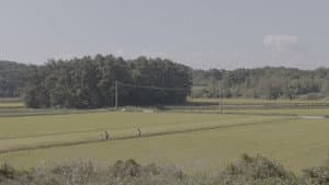 여름에 내린 눈 — foto 1