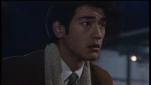 聖夜の奇跡　あなたの好きな愛はどれ? — foto 1
