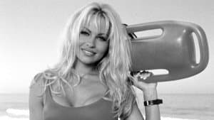 Playboy: The Best of Pamela Anderson — foto 1