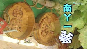 Episodio 229