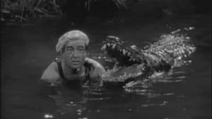 Abbott y Costello: África viva — foto 1