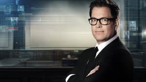 Bull — foto 2