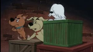 Episodio 16