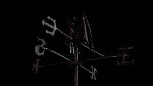 Scarecrows — foto 6