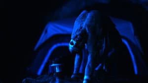 Malibu Horror Story — foto 2