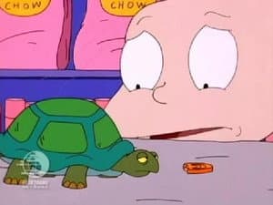 El Padre de la Tortuga