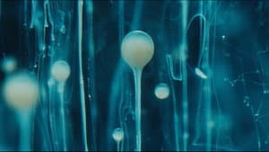 SPERMWORLD — foto 8