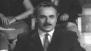 Kölgələr Sürünür — foto 1