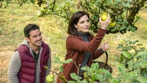 Harvest Love — foto 2