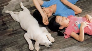 마음이... — foto 2