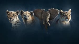 Dynasties II — foto 1