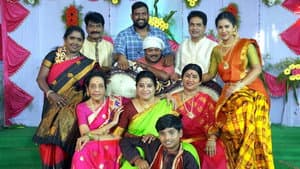 అన్నపూర్ణమ్మ గారి మనవడు — foto 2