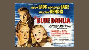 The Blue Dahlia — foto 7