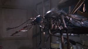 Mosquito — foto 10