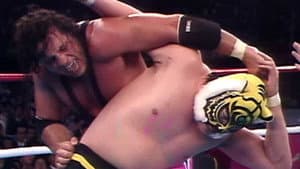 WWF/AJPW/NJPW Wrestling Summit — foto 3