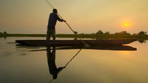 Okavango: El Alma Africana — foto 2