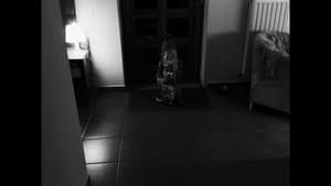 Falcatus — foto 10