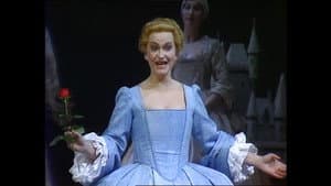 Candide — foto 1