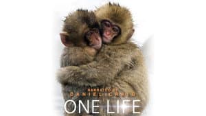 One Life — foto 1