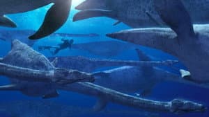 Sea Monsters — foto 6