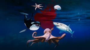 Deep Sea Killers — foto 1
