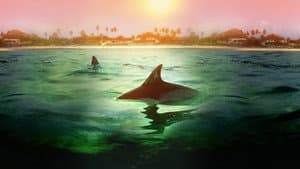 Sharks vs. Dolphins: Bahamas Battleground — foto 1