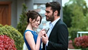 Şevkat Yerimdar 2 — foto 1