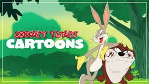 Looney Tunes Cartoons — foto 12