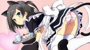 The “HENTAI” prince and the stony cat — foto 8
