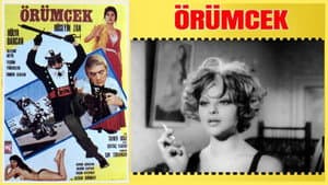 Örümcek — foto 5