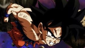 ¡Un final milagroso! ¡Adiós Gokú, hasta nuestro próximo encuentro!