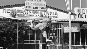 Τρελλός, Παλαβός και Βέγγος — foto 3
