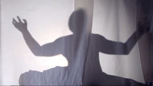Janus — foto 1